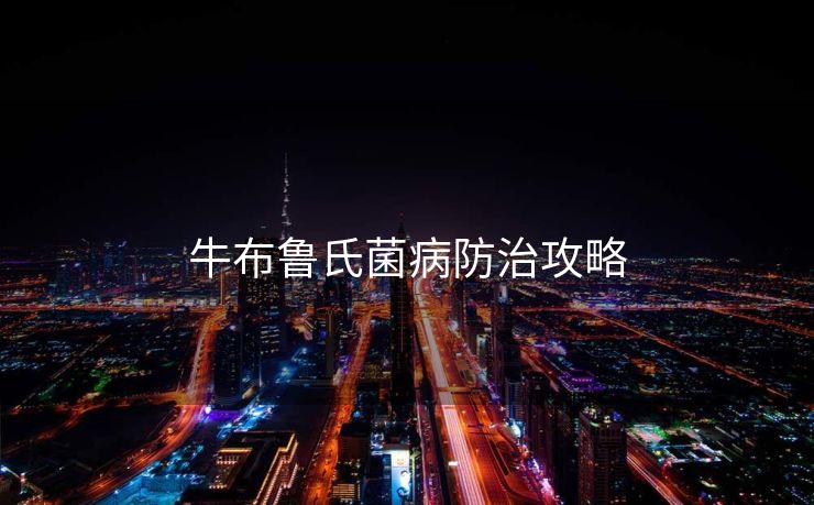 牛布鲁氏菌病防治攻略