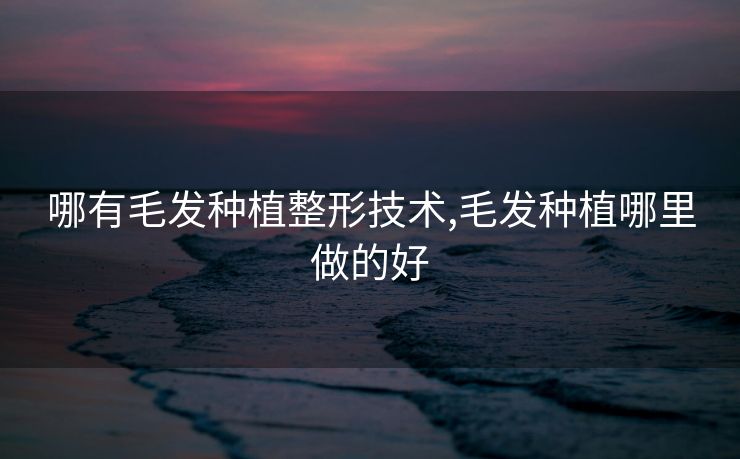 哪有毛发种植整形技术,毛发种植哪里做的好