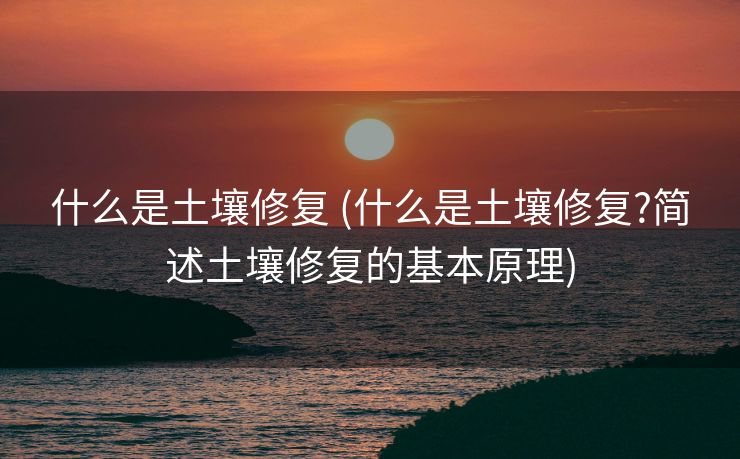 什么是土壤修复 (什么是土壤修复?简述土壤修复的基本原理)
