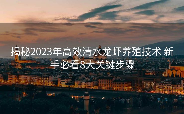 揭秘2023年高效清水龙虾养殖技术 新手必看8大关键步骤
