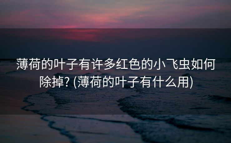 薄荷的叶子有许多红色的小飞虫如何除掉? (薄荷的叶子有什么用)