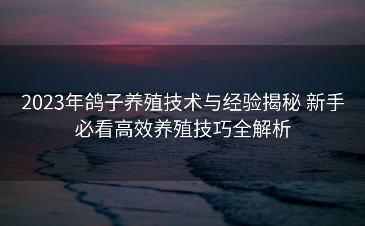 2023年鸽子养殖技术与经验揭秘 新手必看高效养殖技巧全解析