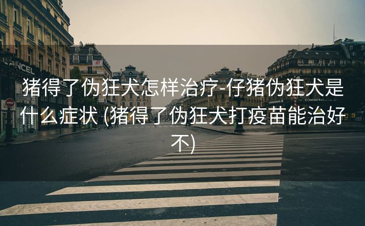 猪得了伪狂犬怎样治疗-仔猪伪狂犬是什么症状 (猪得了伪狂犬打疫苗能治好不)