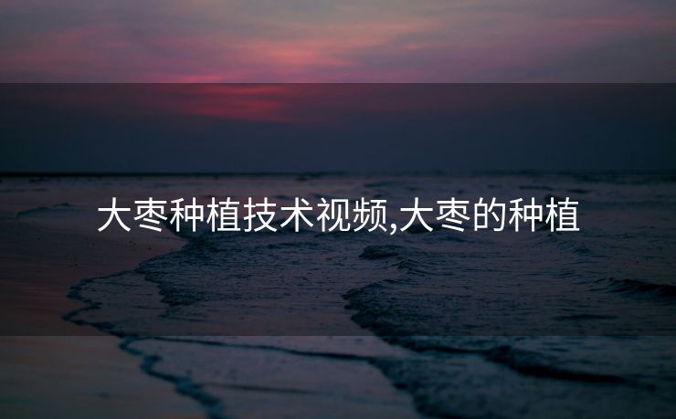 大枣种植技术视频,大枣的种植