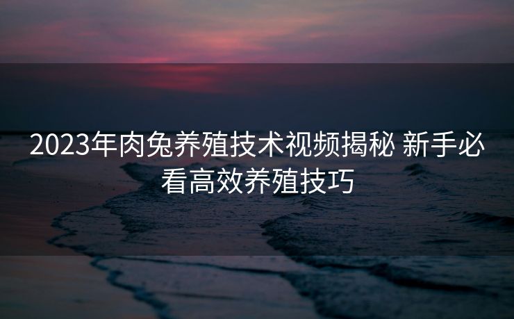 2023年肉兔养殖技术视频揭秘 新手必看高效养殖技巧