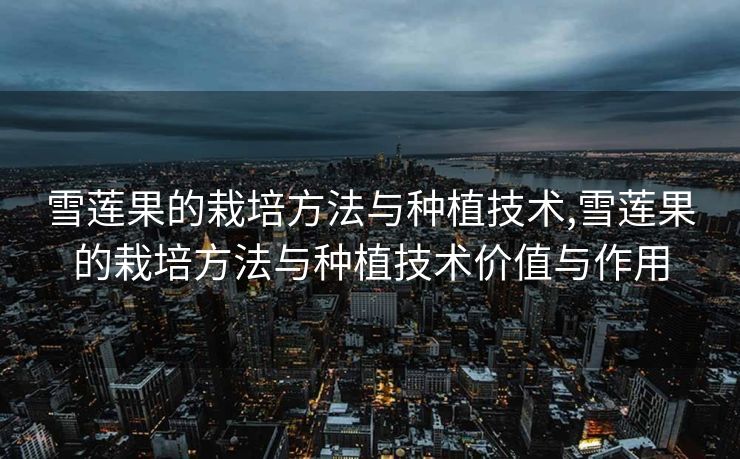 雪莲果的栽培方法与种植技术,雪莲果的栽培方法与种植技术价值与作用