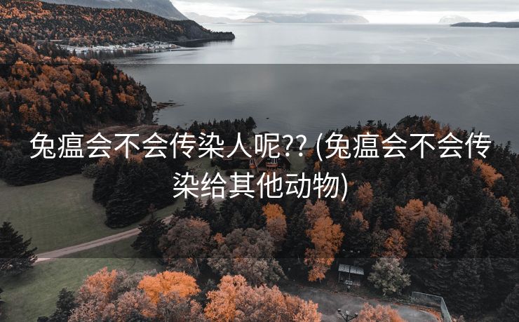 兔瘟会不会传染人呢?? (兔瘟会不会传染给其他动物)