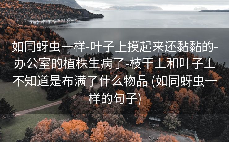如同蚜虫一样-叶子上摸起来还黏黏的-办公室的植株生病了-枝干上和叶子上不知道是布满了什么物品 (如同蚜虫一样的句子)