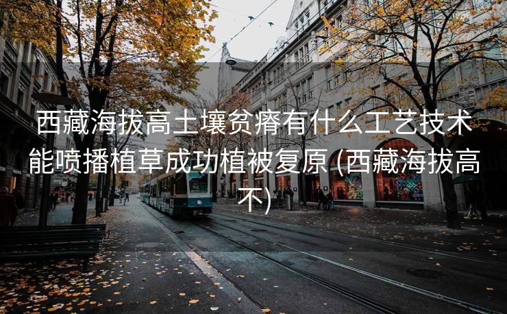 西藏海拔高土壤贫瘠有什么工艺技术能喷播植草成功植被复原 (西藏海拔高不)