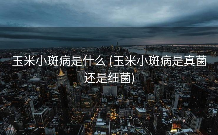 玉米小斑病是什么 (玉米小斑病是真菌还是细菌)