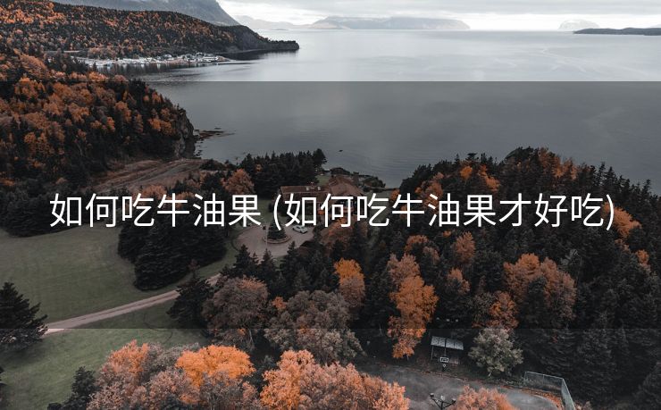 如何吃牛油果 (如何吃牛油果才好吃)