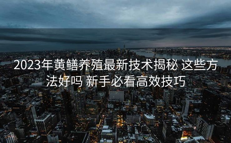 2023年黄鳝养殖最新技术揭秘 这些方法好吗 新手必看高效技巧