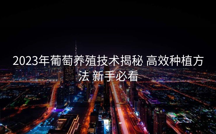 2023年葡萄养殖技术揭秘 高效种植方法 新手必看