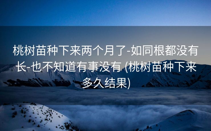 桃树苗种下来两个月了-如同根都没有长-也不知道有事没有 (桃树苗种下来多久结果)