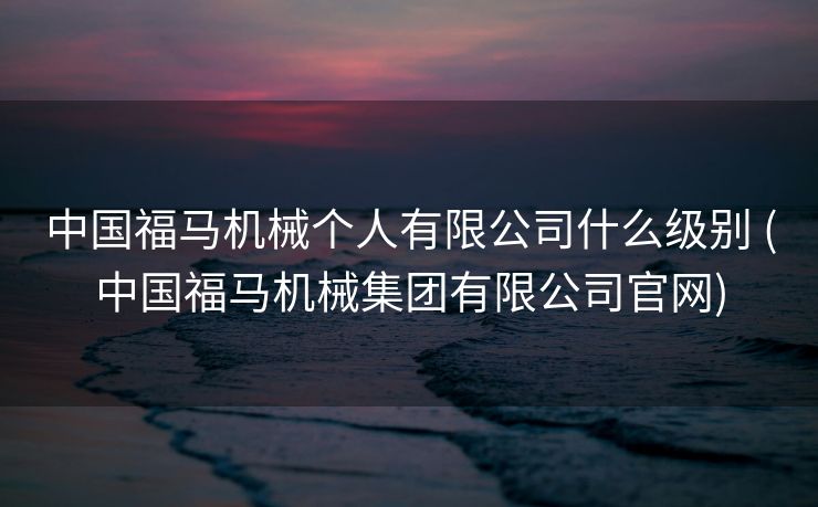 中国福马机械个人有限公司什么级别 (中国福马机械集团有限公司官网)