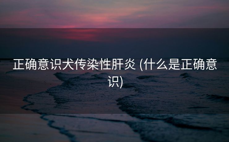 正确意识犬传染性肝炎 (什么是正确意识)