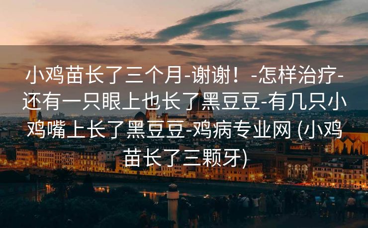 小鸡苗长了三个月-谢谢！-怎样治疗-还有一只眼上也长了黑豆豆-有几只小鸡嘴上长了黑豆豆-鸡病专业网 (小鸡苗长了三颗牙)