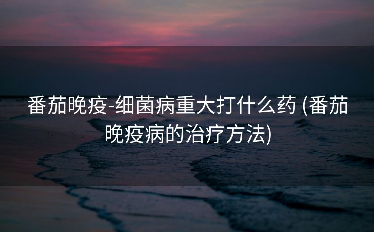 番茄晚疫-细菌病重大打什么药 (番茄晚疫病的治疗方法)