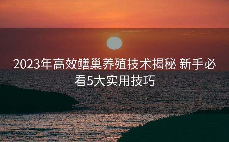 2023年高效鳝巢养殖技术揭秘 新手必看5大实用技巧