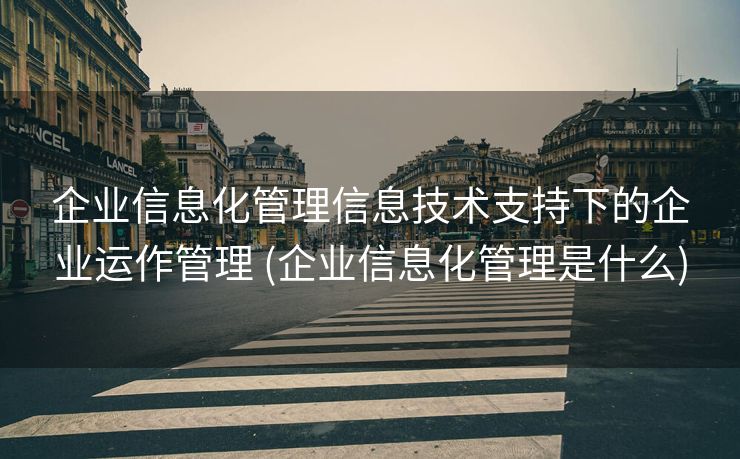 企业信息化管理信息技术支持下的企业运作管理 (企业信息化管理是什么)