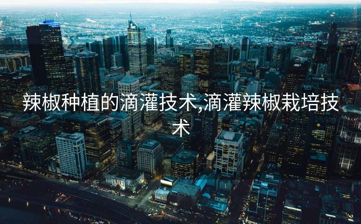 辣椒种植的滴灌技术,滴灌辣椒栽培技术