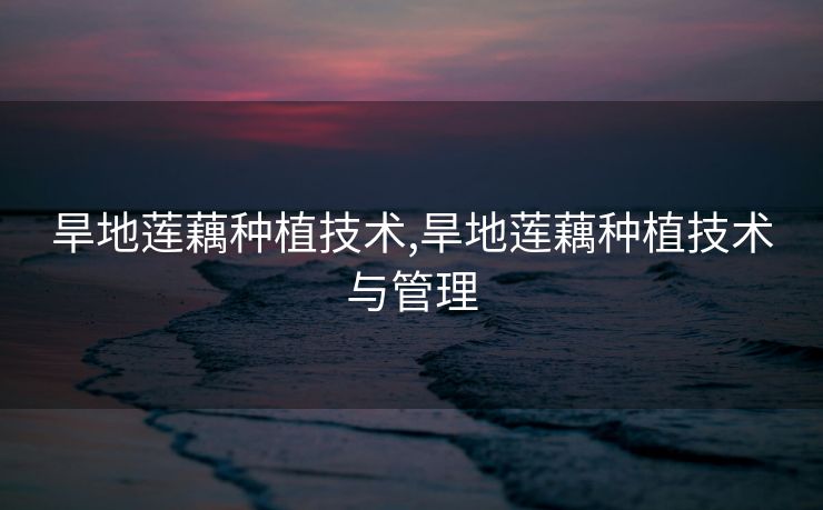 旱地莲藕种植技术,旱地莲藕种植技术与管理