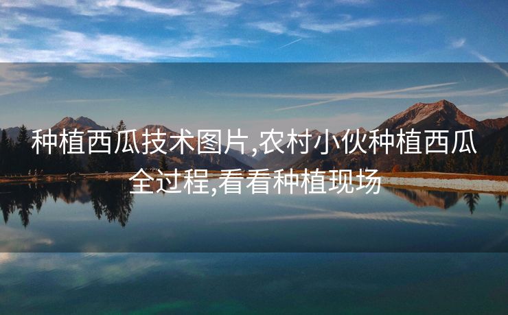 种植西瓜技术图片,农村小伙种植西瓜全过程,看看种植现场