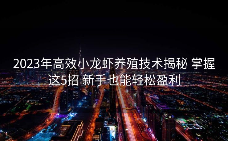 2023年高效小龙虾养殖技术揭秘 掌握这5招 新手也能轻松盈利