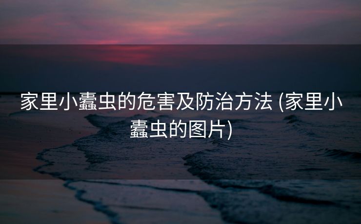 家里小蠹虫的危害及防治方法 (家里小蠹虫的图片)
