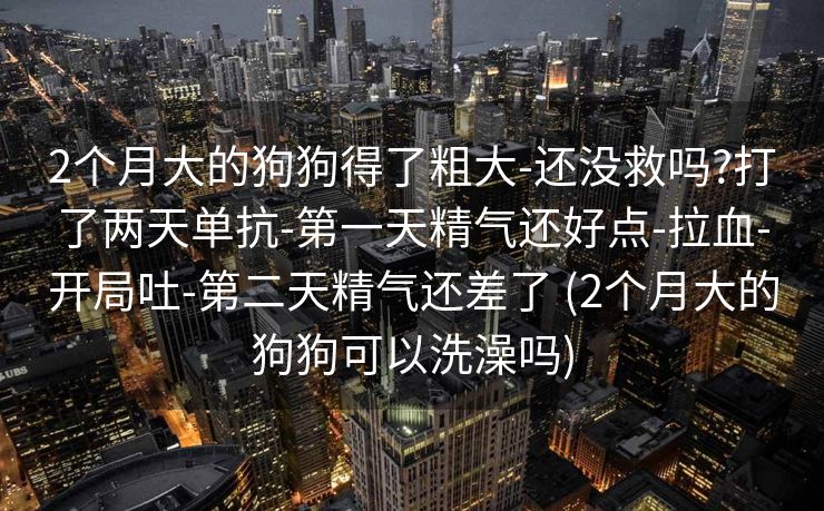 2个月大的狗狗得了粗大-还没救吗?打了两天单抗-第一天精气还好点-拉血-开局吐-第二天精气还差了 (2个月大的狗狗可以洗澡吗)