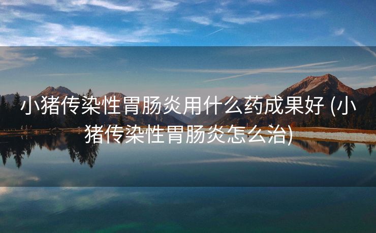 小猪传染性胃肠炎用什么药成果好 (小猪传染性胃肠炎怎么治)