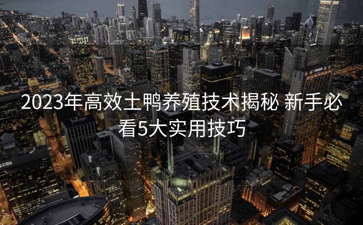 2023年高效土鸭养殖技术揭秘 新手必看5大实用技巧