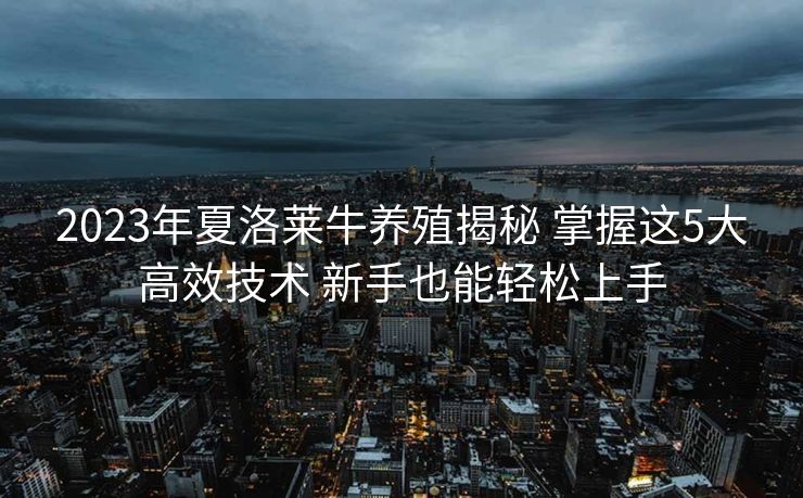 2023年夏洛莱牛养殖揭秘 掌握这5大高效技术 新手也能轻松上手