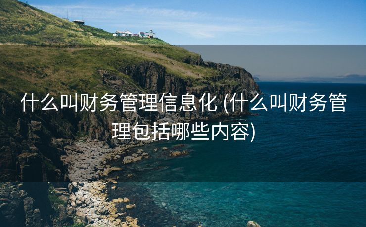什么叫财务管理信息化 (什么叫财务管理包括哪些内容)