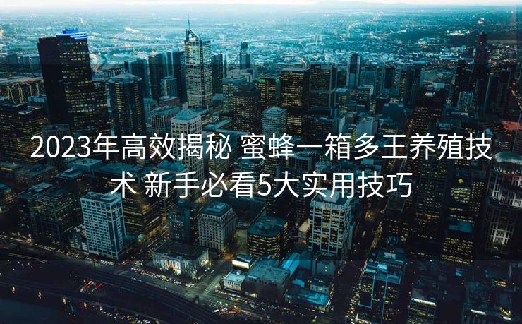 2023年高效揭秘 蜜蜂一箱多王养殖技术 新手必看5大实用技巧