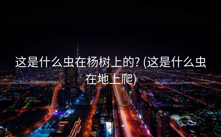 这是什么虫在杨树上的? (这是什么虫在地上爬)