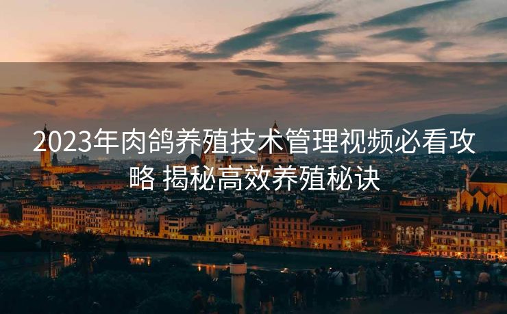 2023年肉鸽养殖技术管理视频必看攻略 揭秘高效养殖秘诀