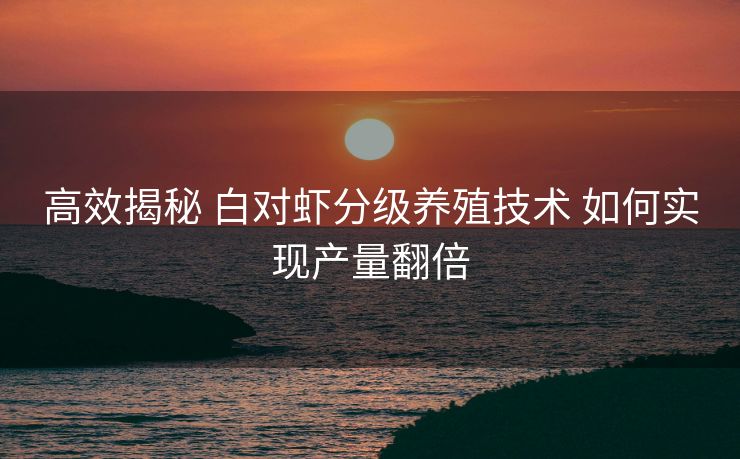 高效揭秘 白对虾分级养殖技术 如何实现产量翻倍