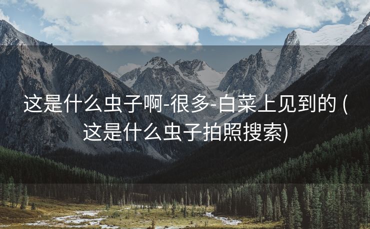 这是什么虫子啊-很多-白菜上见到的 (这是什么虫子拍照搜索)