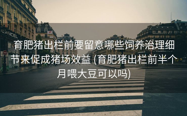 育肥猪出栏前要留意哪些饲养治理细节来促成猪场效益 (育肥猪出栏前半个月喂大豆可以吗)