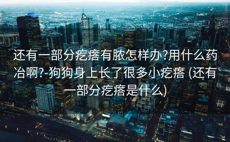 还有一部分疙瘩有脓怎样办?用什么药冶啊?-狗狗身上长了很多小疙瘩 (还有一部分疙瘩是什么)