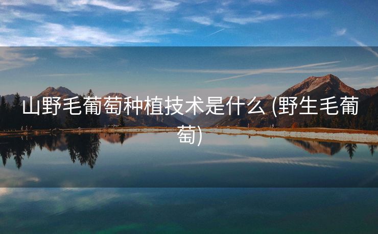 山野毛葡萄种植技术是什么 (野生毛葡萄)