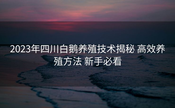 2023年四川白鹅养殖技术揭秘 高效养殖方法 新手必看 2023年四川白鹅养殖技术揭秘 高效养殖方法 新手必看