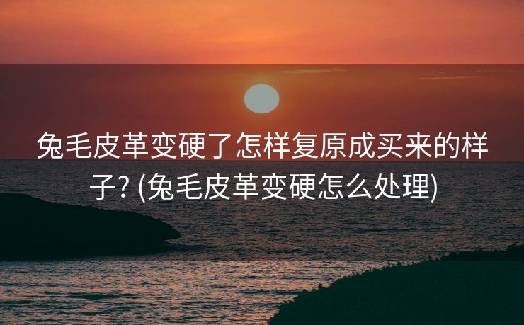 兔毛皮革变硬了怎样复原成买来的样子? (兔毛皮革变硬怎么处理)