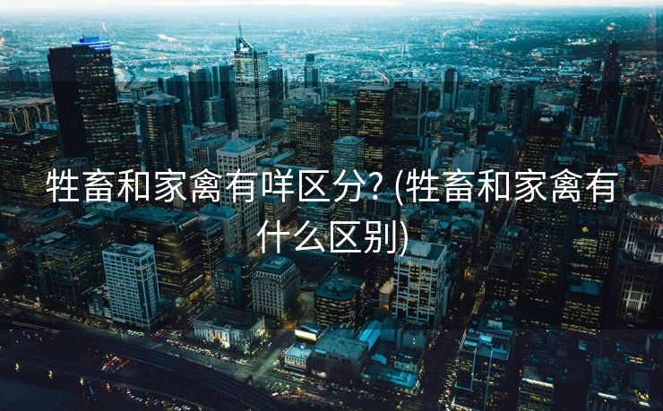 牲畜和家禽有咩区分? (牲畜和家禽有什么区别)