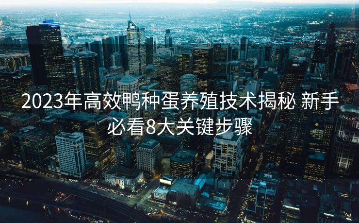 2023年高效鸭种蛋养殖技术揭秘 新手必看8大关键步骤 2023年高效鸭种蛋养殖技术揭秘 新手必看8大关键步骤