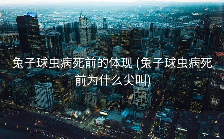 兔子球虫病死前的体现 (兔子球虫病死前为什么尖叫)