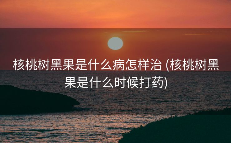 核桃树黑果是什么病怎样治 (核桃树黑果是什么时候打药)