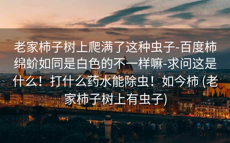 老家柿子树上爬满了这种虫子-百度柿绵蚧如同是白色的不一样嘛-求问这是什么！打什么药水能除虫！如今柿 (老家柿子树上有虫子)