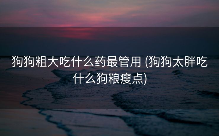 狗狗粗大吃什么药最管用 (狗狗太胖吃什么狗粮瘦点)